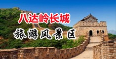 www操逼.com中国北京-八达岭长城旅游风景区