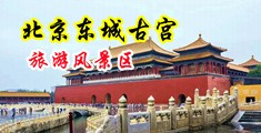 欧美草b中国北京-东城古宫旅游风景区